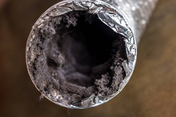 Best Best Air Duct Cleaning Company  in Center Point, AL